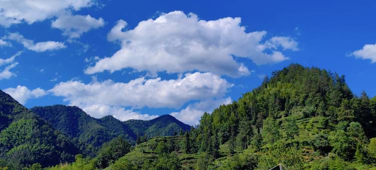 黄山休宁·山语溪民宿图片