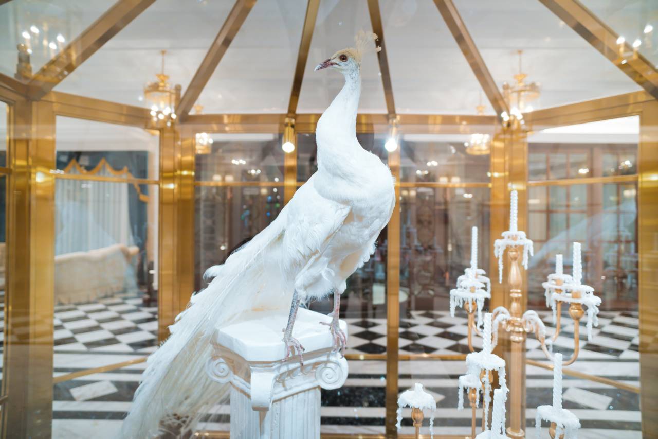 满洲里友谊宾馆(中苏金街步行街店)图片