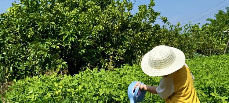 成都雅居乐豪生大酒店图片