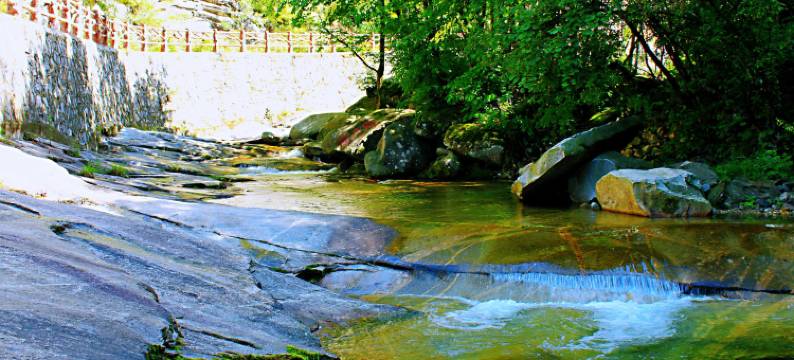 佛坪熊猫森林酒店图片
