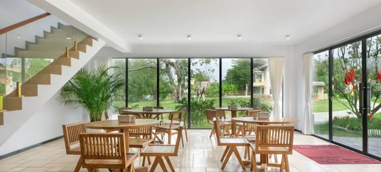 鲲鹏宿集民宿图片