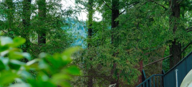 莫干山氧森·YANGSEN夏日滑梯泳池度假民宿图片