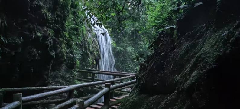 青城山远山·私汤民宿图片