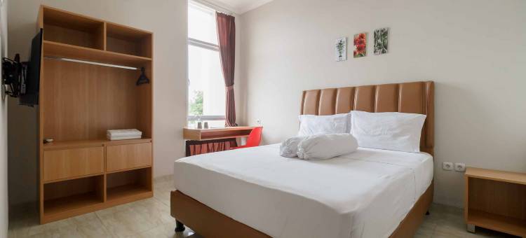 Palm Eight RedPartner图片