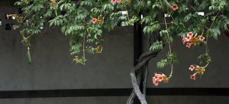 南京勐拉温泉汤屋民宿图片