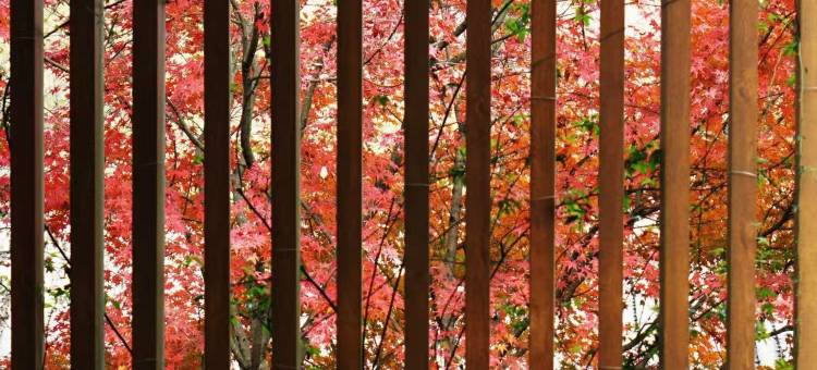 绍兴兰亭璞燊酒店图片