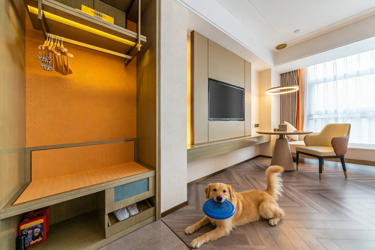 TOWO·上品国际酒店(世纪金源购物中心世纪城店)图片