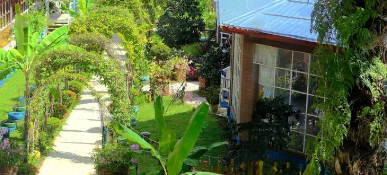 那本仙境梦幻庄园(中文管家服务+免费仙本那镇上/码头接送班车)(Together 2 Holiday Resort)图片