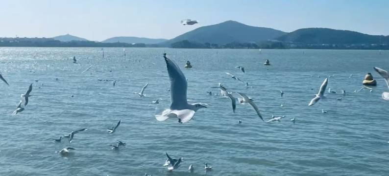 三只猫青年旅社(无锡东站店)图片