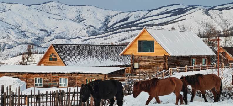 鹏游山居·弥野秘境Villa(白哈巴村店)图片