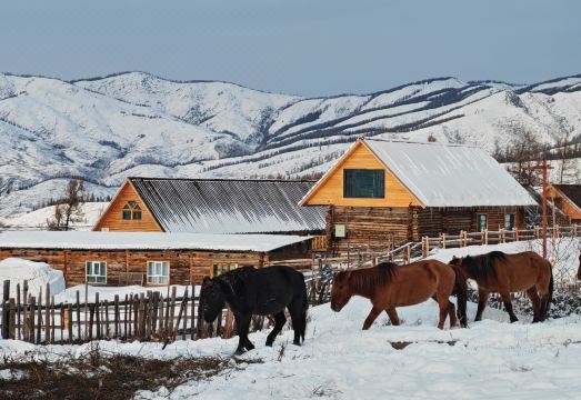 鹏游山居·弥野秘境Villa（白哈巴村店）外景图