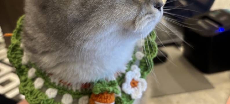 扬州东关街漫心酒店图片