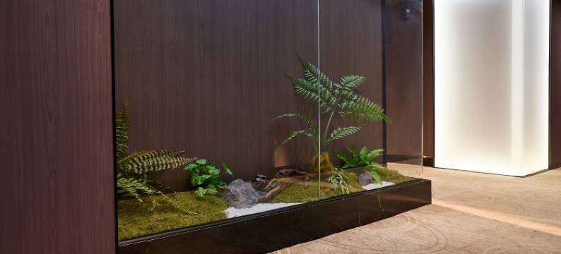 天辰电竞酒店(南充北站店)图片