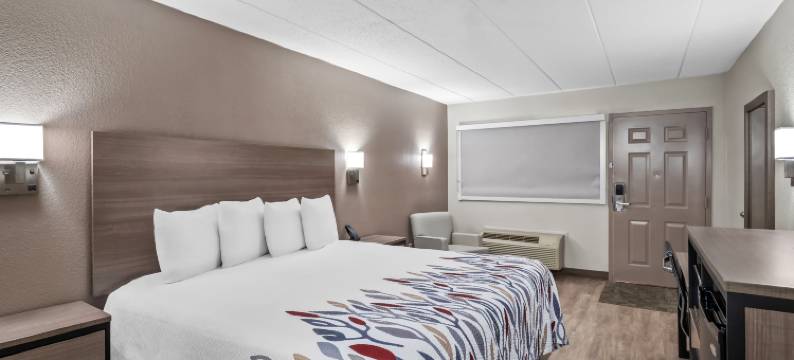 安阿伯 - 密歇根大学南红屋顶酒店(Red Roof Inn Ann Arbor - U of Michigan South)图片