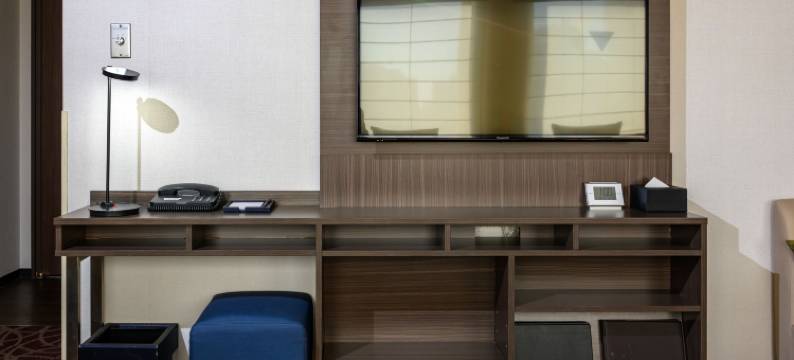 MYSTAYS 上野东酒店(HOTEL MYSTAYS Ueno East)图片