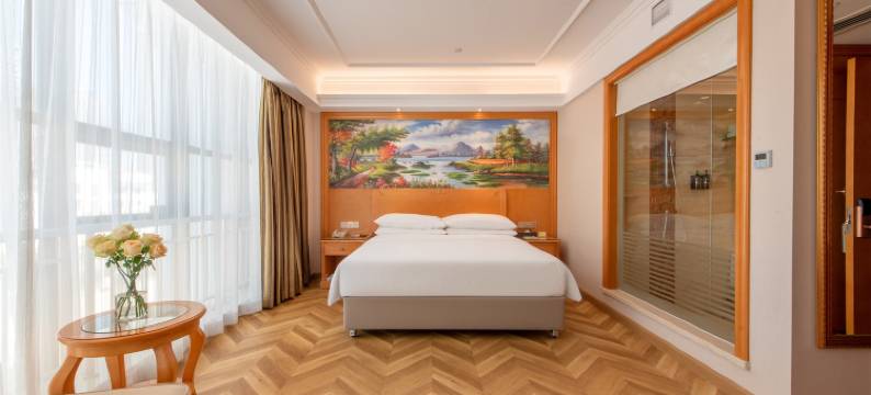 维也纳酒店(佛山顺德锦龙地铁站店)图片