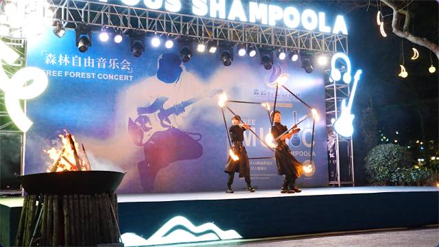 清远佛冈森波拉森林酒店图片