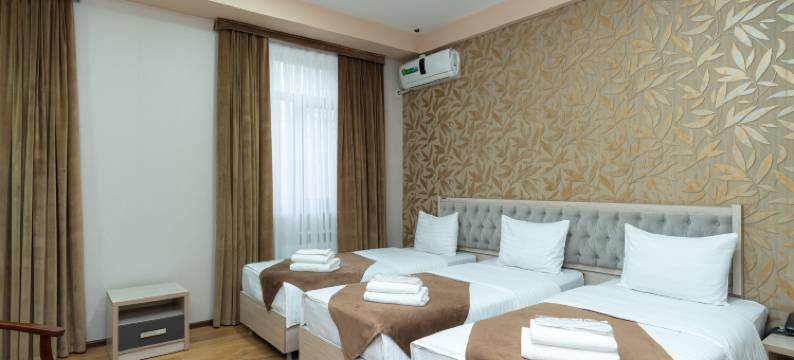 钻石塔什干酒店(Diamond Hotel Tashkent)图片