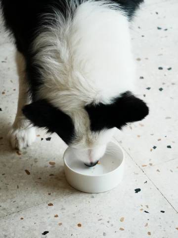 大乐之野(桐庐店)图片