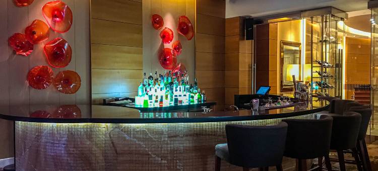 国际贵都大酒店胡志明市酒店(Equatorial Ho Chi Minh City)图片