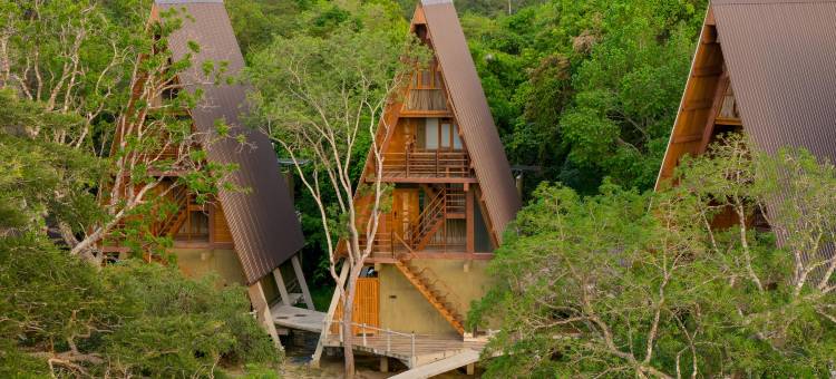 威尔帕图野生动物园度假村(Wilpattu Safari Resort)图片
