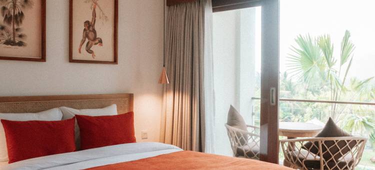 波特酒店-冲浪与瑜伽静修(Porter Hotel - Surf & Yoga Retreat)图片