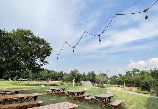 XD Happy FarmHotel Overview