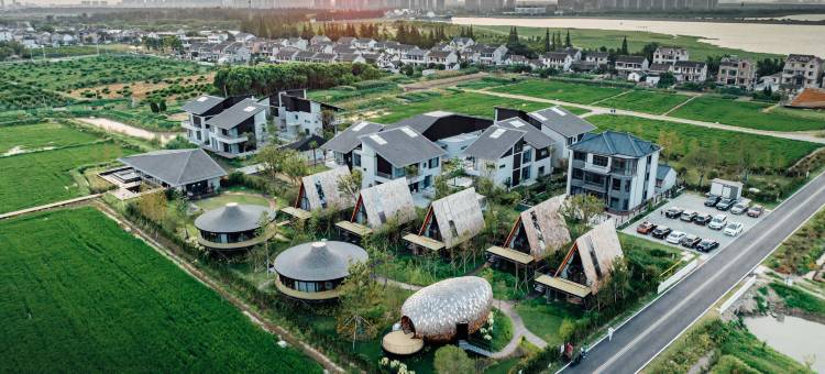 太仓七十二家村树蛙部落图片