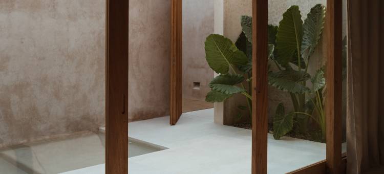 月牙(Lunaya)图片