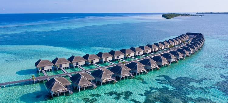 马尔代夫丽世南阿里环礁度假村(LUX* South Ari Atoll)图片