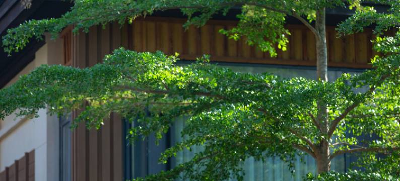 西双版纳景洪泽尔客栈(融创国际度假区店)图片