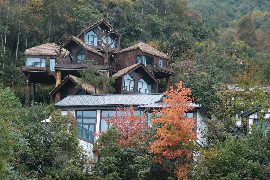 諸暨芳草地度假酒店