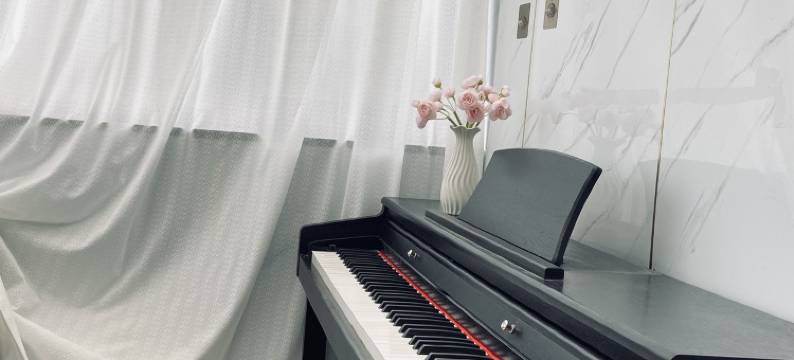 康定凤姐民宿(近情歌广场)图片