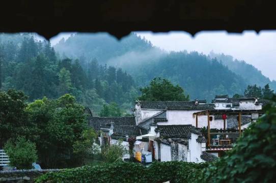 西递归墟里·茶·民宿图片