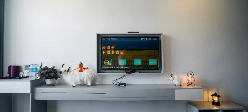 青海湖栖悦酒店图片