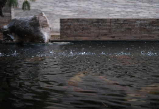 HILLSIDE RETREAT Hotel Overview