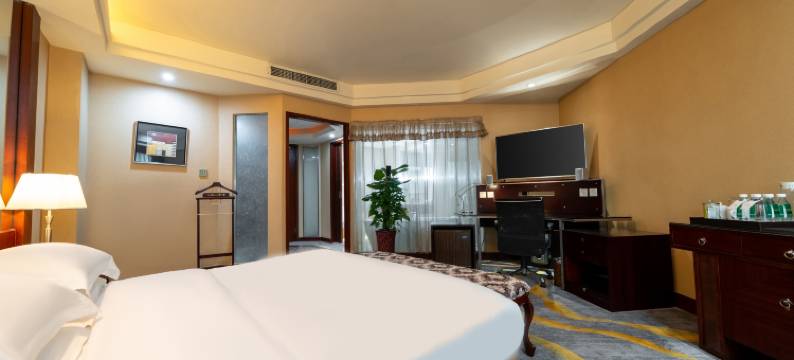 绵阳长虹国际酒店(绵阳市政府高铁站店)图片