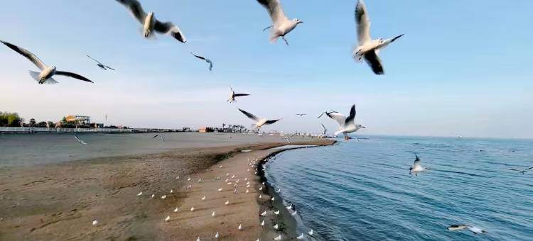 博湖县四季酒店(西海步行街店)图片