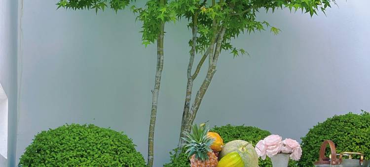 九华山香榭 ·里花园民宿(肉身宝殿店)图片