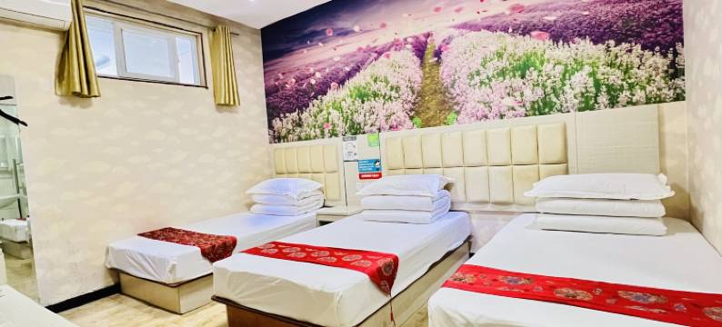 郑州朗庭时尚酒店(金水第七中学店)图片