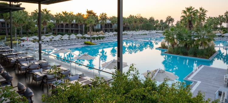 帕洛玛奥伦达(Paloma Orenda)图片