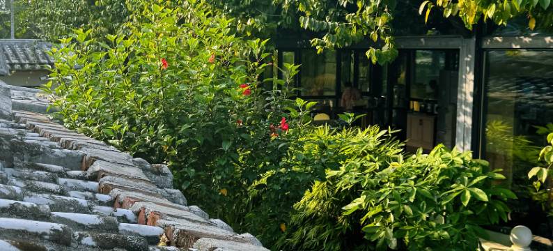 栖野温林花园民宿(万宁神州站店)图片