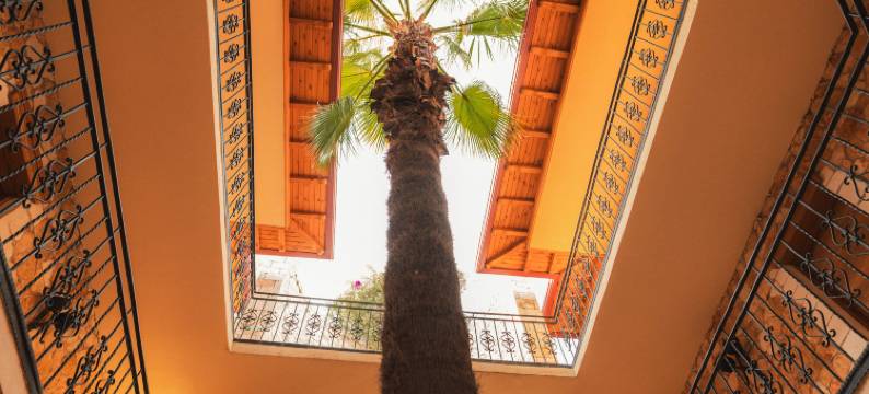 别墅酒店​​塔玛拉(Villa Hotel Tamara)图片