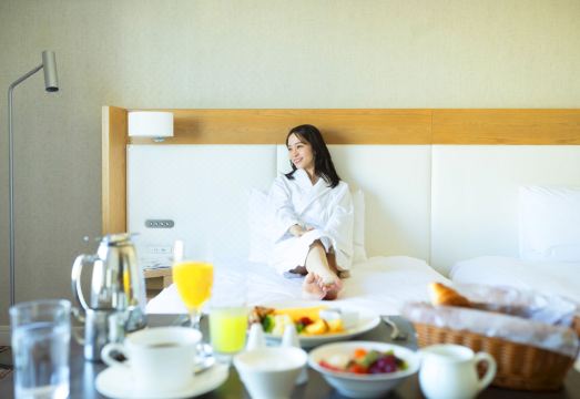 Grand Nikko Tokyo Daiba Hotel Overview