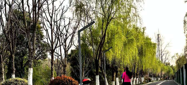 安吉凯旋门大酒店图片