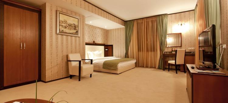 布里斯托尔贝斯特韦斯特优质酒店(Best Western Plus Bristol Hotel)图片