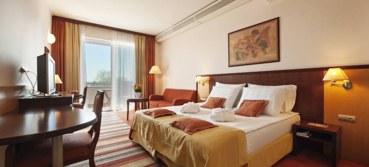 格兰德普利姆斯酒店 - 特尔梅普土伊 - 萨瓦酒店及度假村(Grand Hotel Primus - Terme Ptuj - Sava Hotels & Resorts)图片