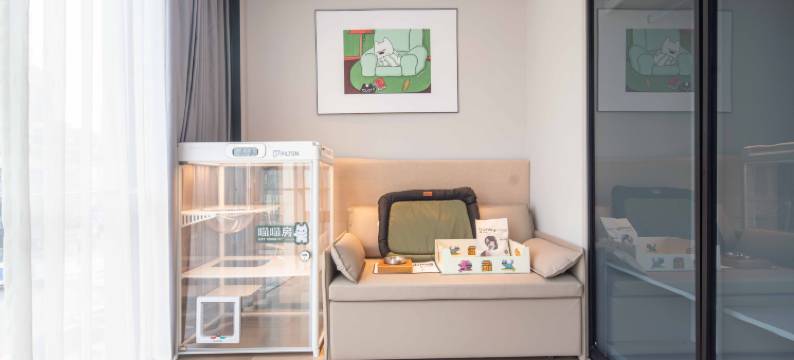 成都盛捷服务公寓酒店图片