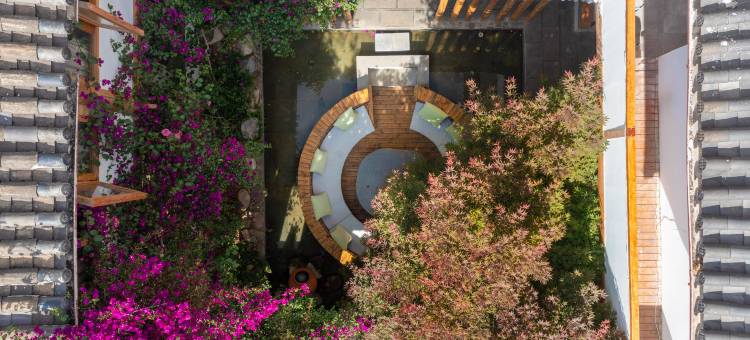 栖野艺宿丨山居景观庭院图片