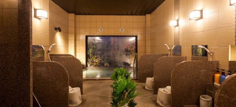 露樱酒店东广岛西条站前店(Hotel Route-Inn Higashihiroshima Saijo Ekimae)图片